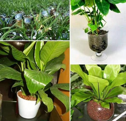 婭婷陶粒生產廠家 建筑回填陶粒 花卉陶粒 水處理陶粒